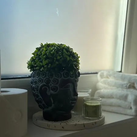 Studio Apartment 1- Komfort & Guenstig